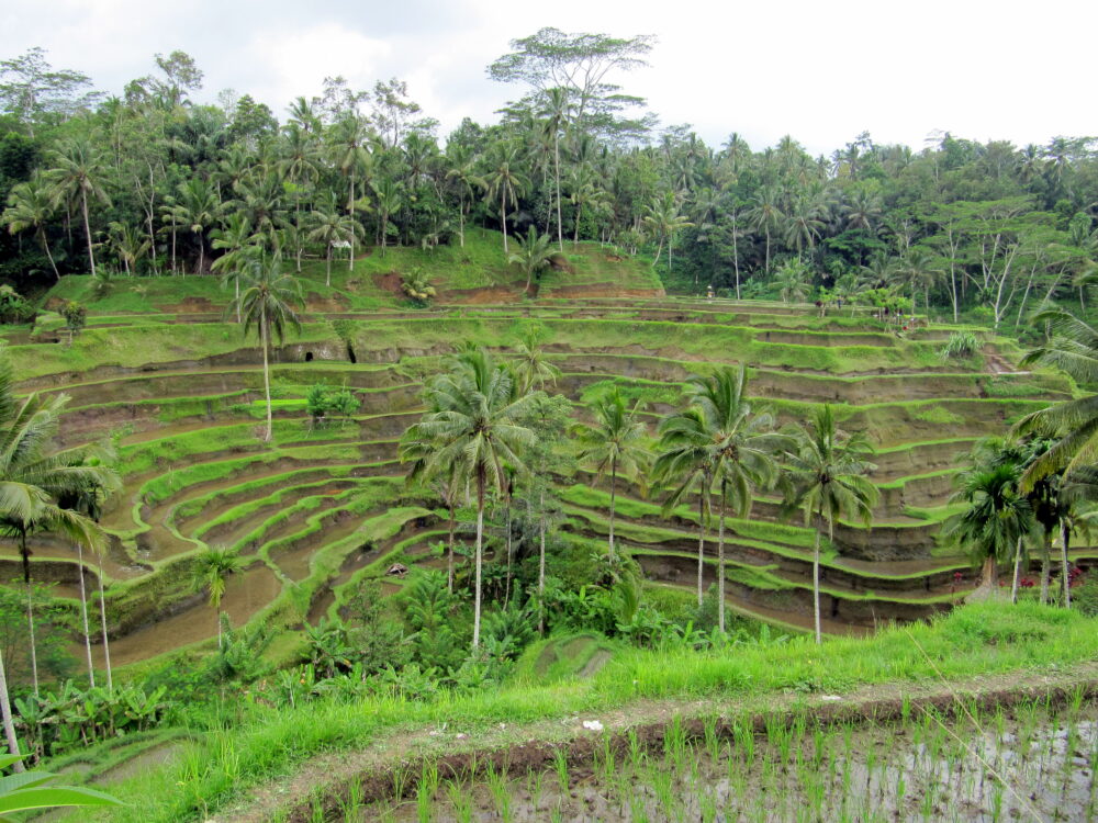 Data Landscaping & Dashboard for the Millennium Challenge Corporation