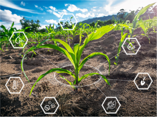 The Soil Nutrient Roadmap